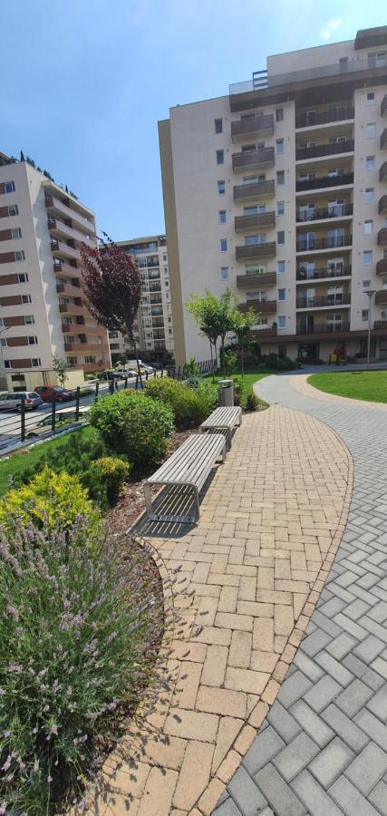 Apartment Alios Lux Brasov Exterior photo